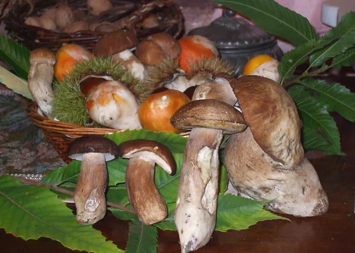 Agriturismo Nonno Tobia Agerola